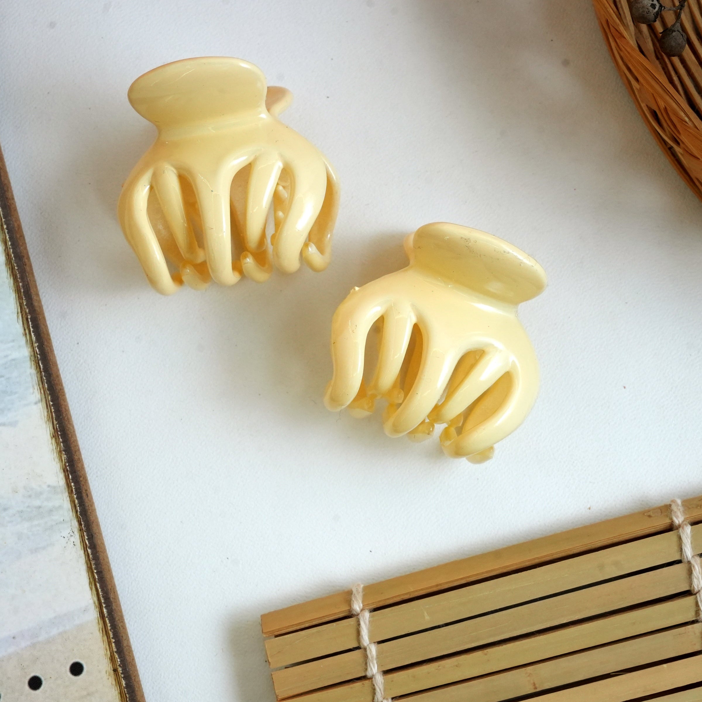 Vibrant Matte Mini Hair Claw Clips Pair