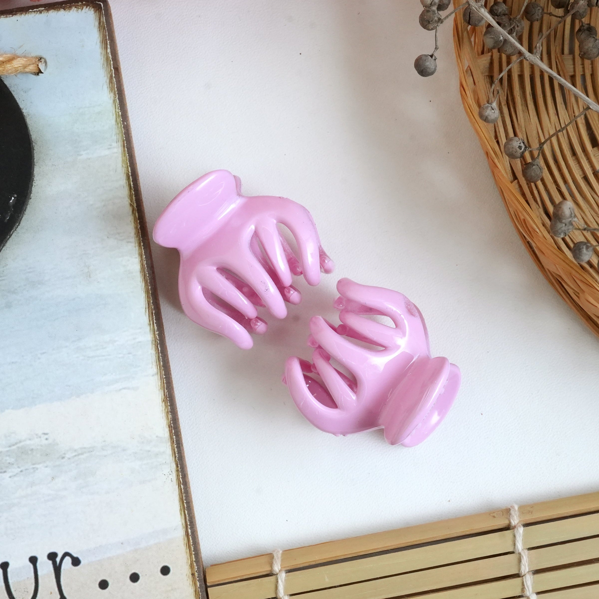 Vibrant Matte Mini Hair Claw Clips Pair