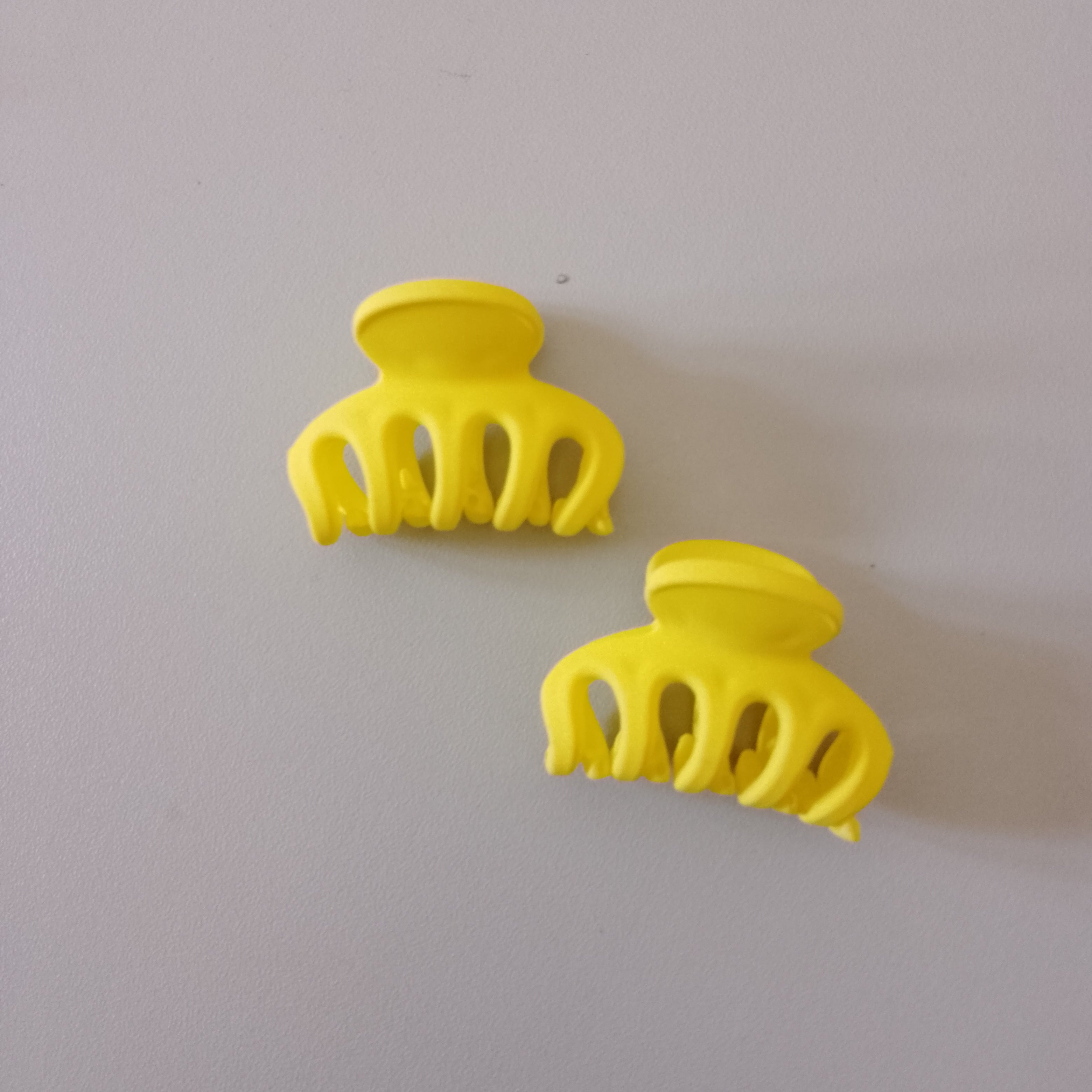 Vibrant Matte Mini Hair Claw Clips Pair